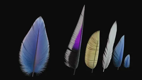 Procedural Feathers - Blender geometry nodes