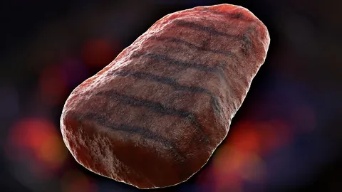 Procedural Beef Steak Material - Blender shaders
