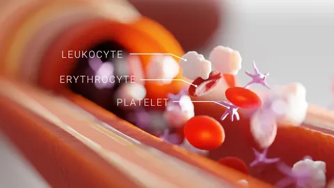 Procedural Blood Vessel - Blender geometry nodes