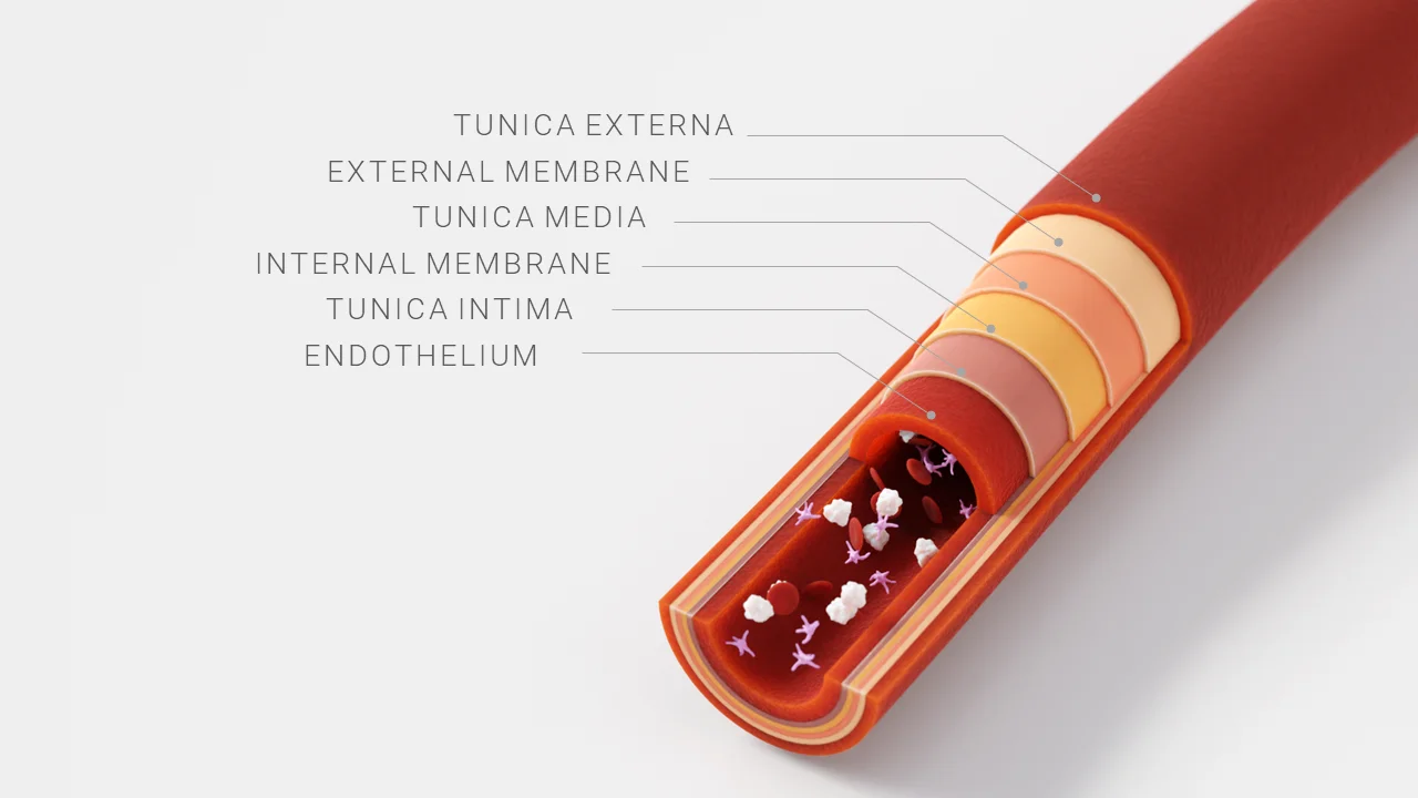 Procedural Blood Vessel screenshot 3