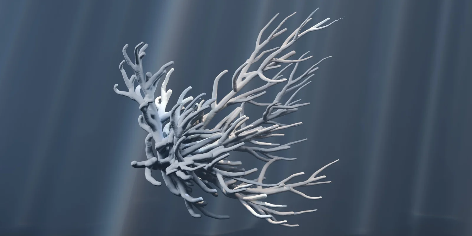 Procedural Coral screenshot 2