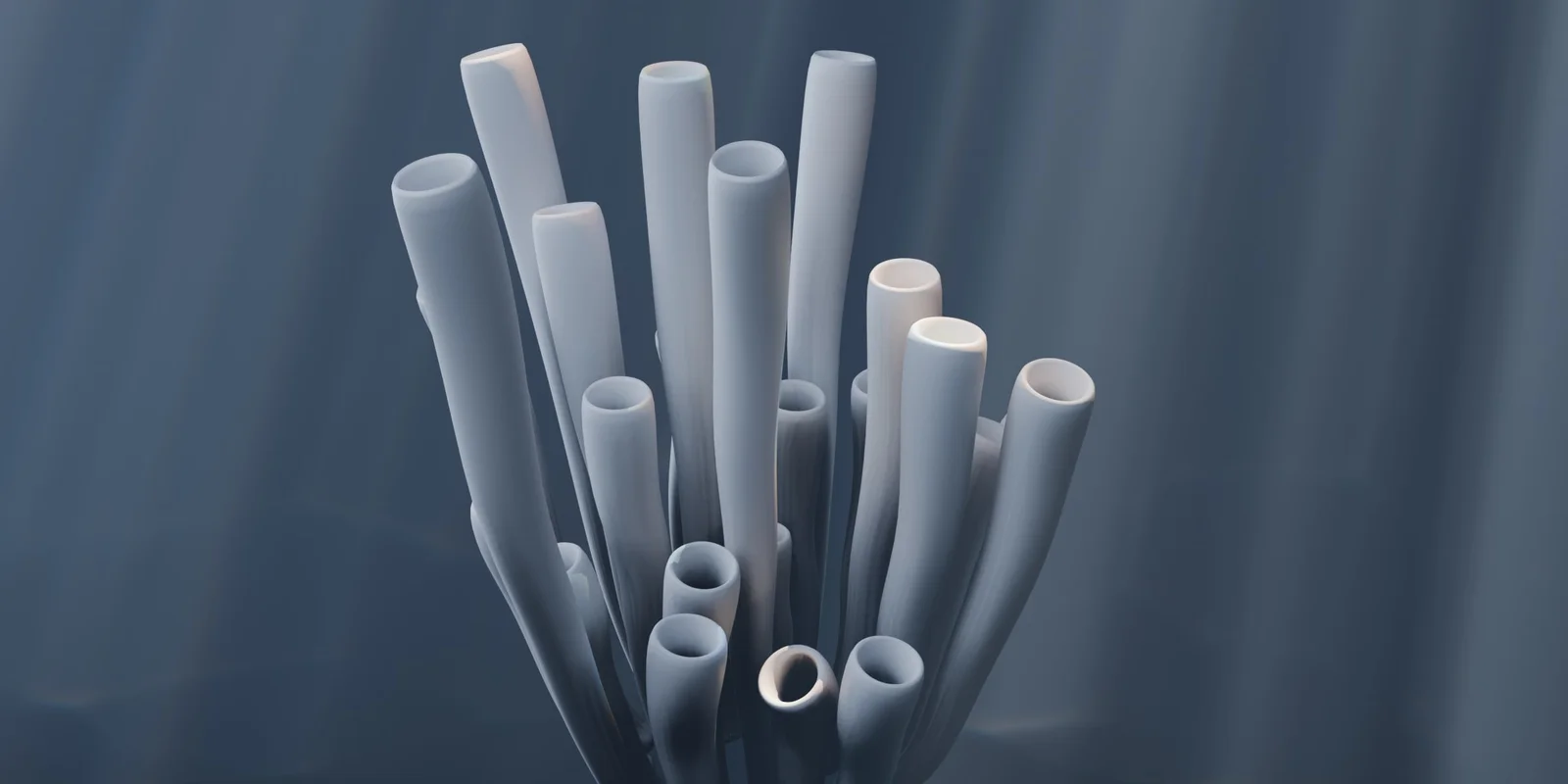 Procedural Coral screenshot 4