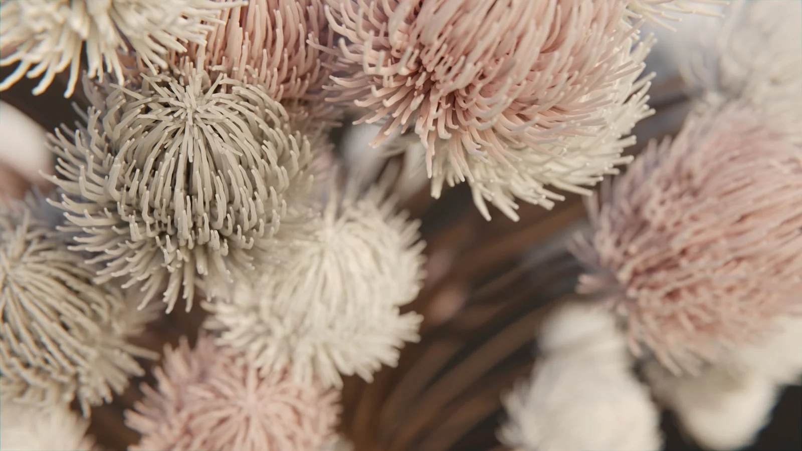 Procedural Flower screenshot 2