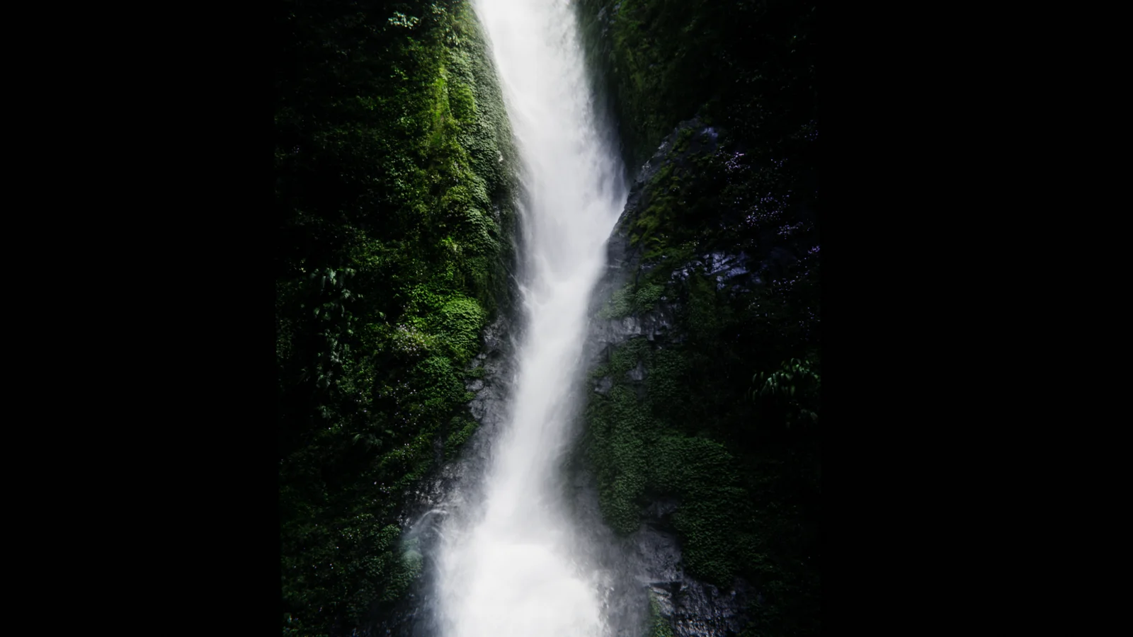 Procedural Flowmap screenshot 3