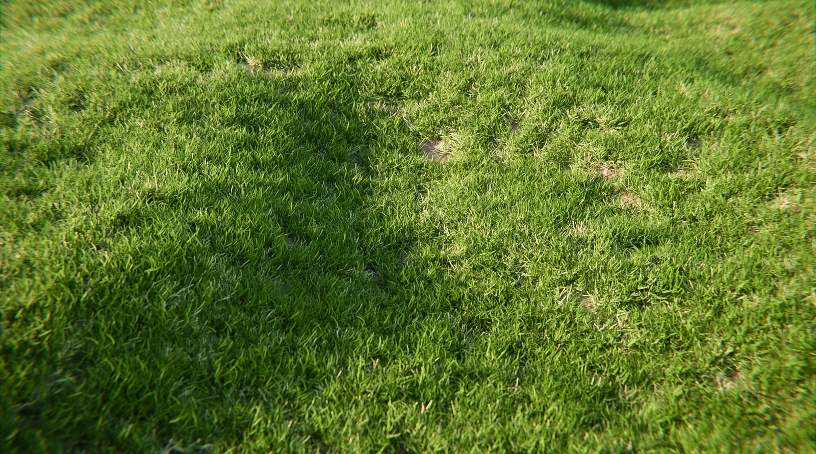 Procedural Grass screenshot 3