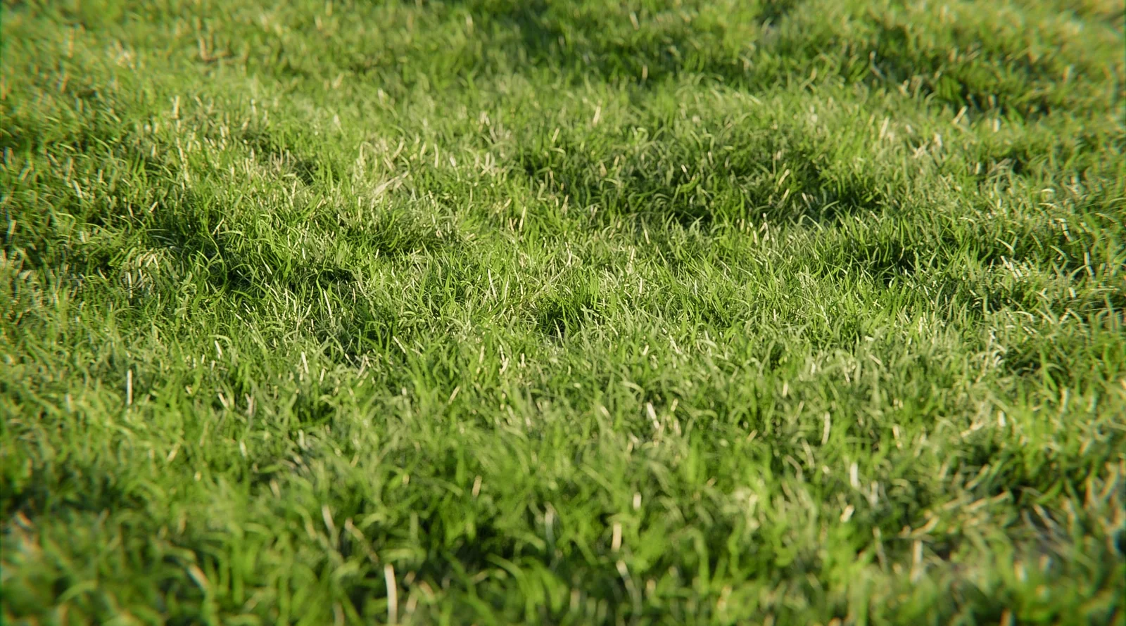 Procedural Grass screenshot 5
