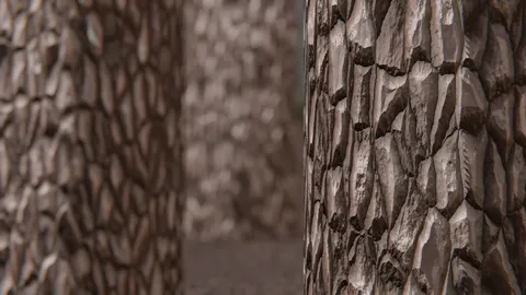 Procedural Pine Bark - Blender shaders