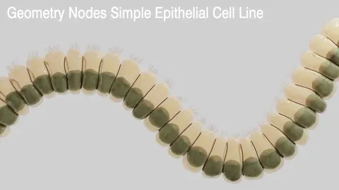 Procedural Epithelial Cell Line - Blender geometry nodes