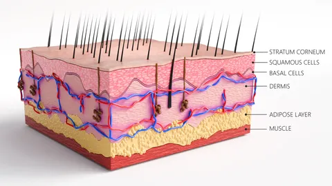 Procedural Skin Cross Section - Blender geometry nodes