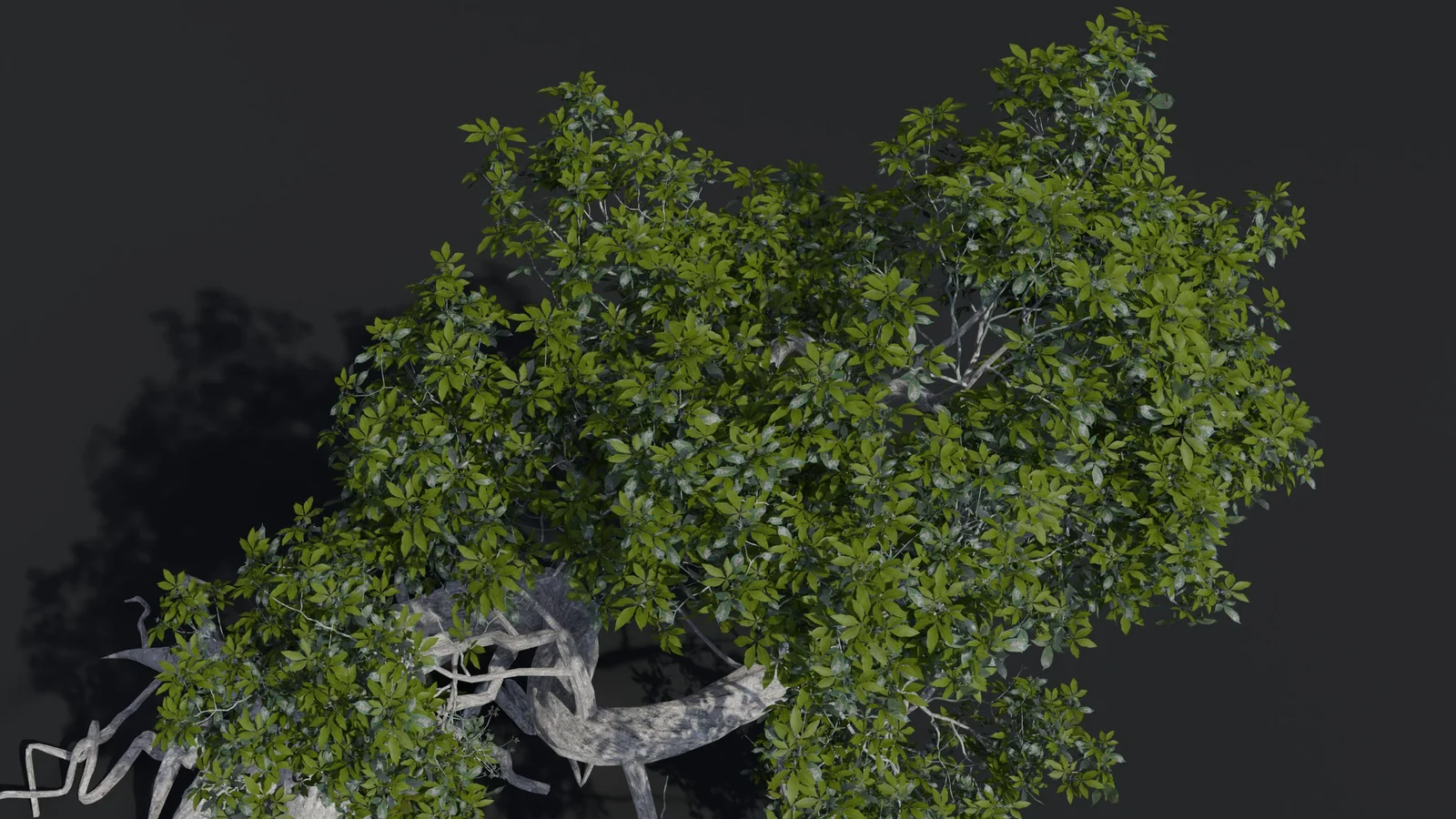 UitTree screenshot 4