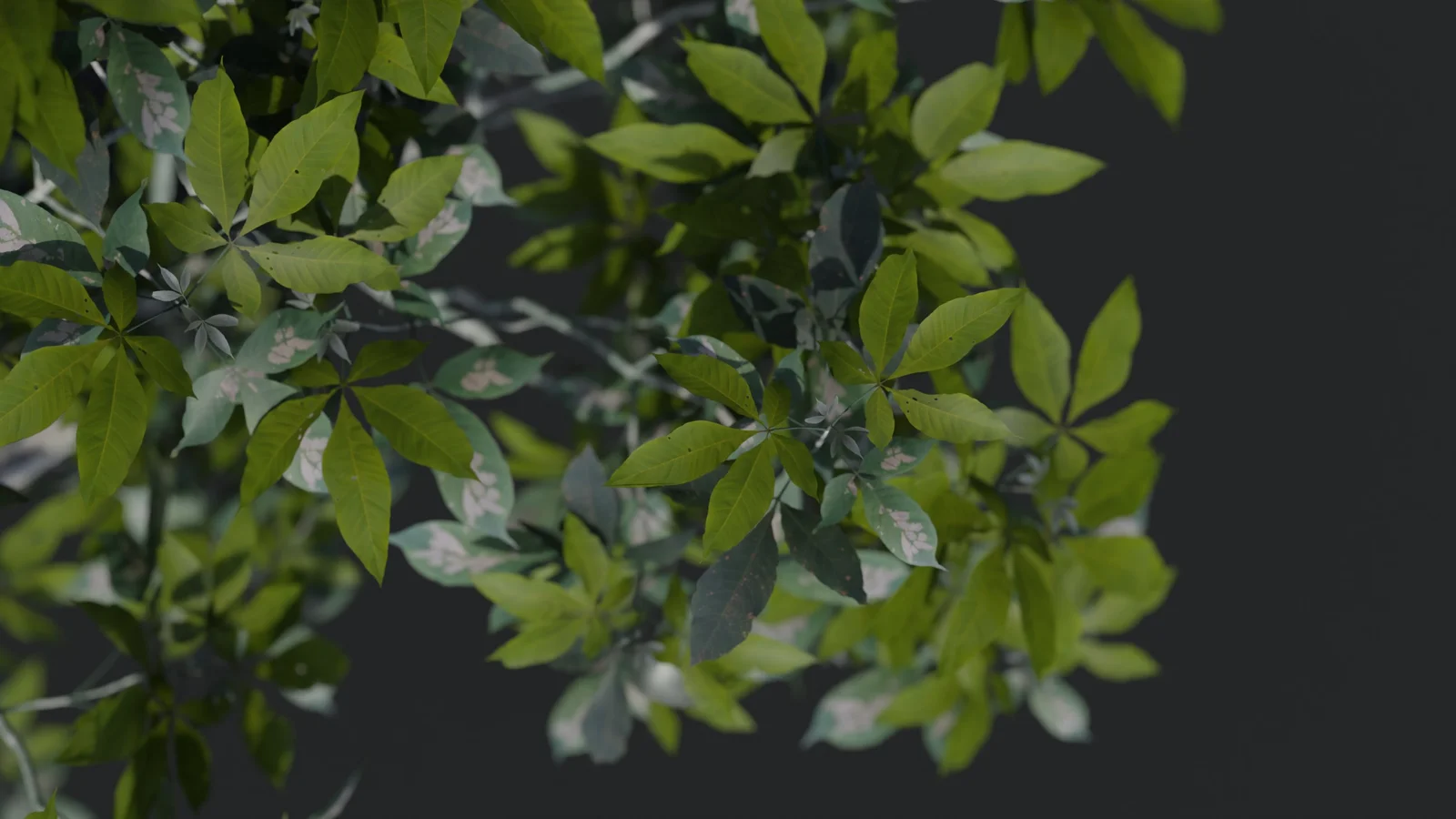 UitTree screenshot 5