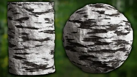 White Birch Bark - Blender shaders