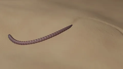 Procedural Worm - Blender geometry nodes