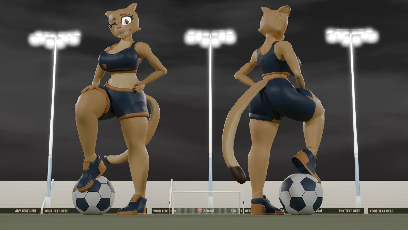 Project: Goya screenshot 2