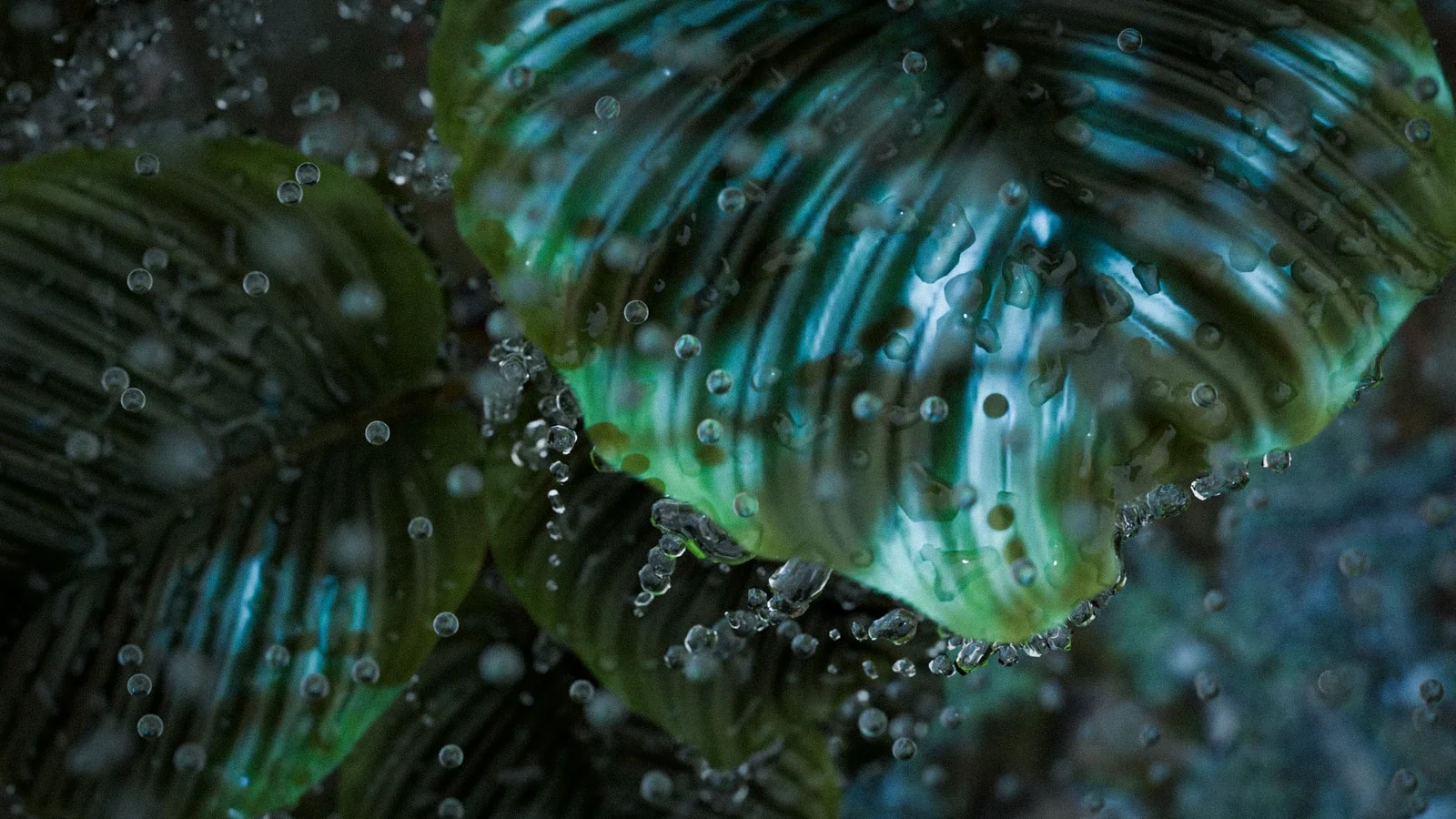 Quick Water Drops screenshot 2