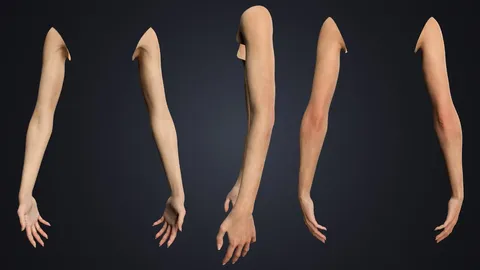 Realistic Female Arms - Blender 3d models