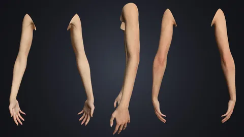 Realistic Female Arms - Blender 3d models