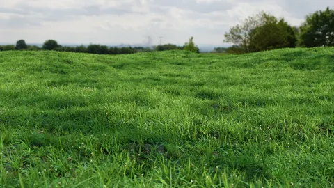Realistic Grass and Clover - Blender 3d models