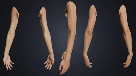 Realistic Neutral Arms - Blender 3d models