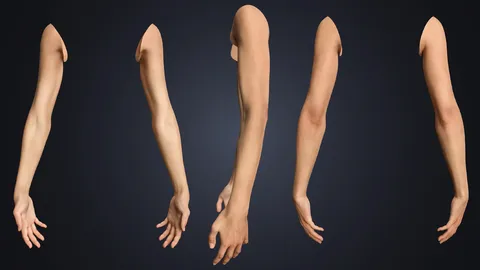 Realistic Neutral Arms - Blender 3d models