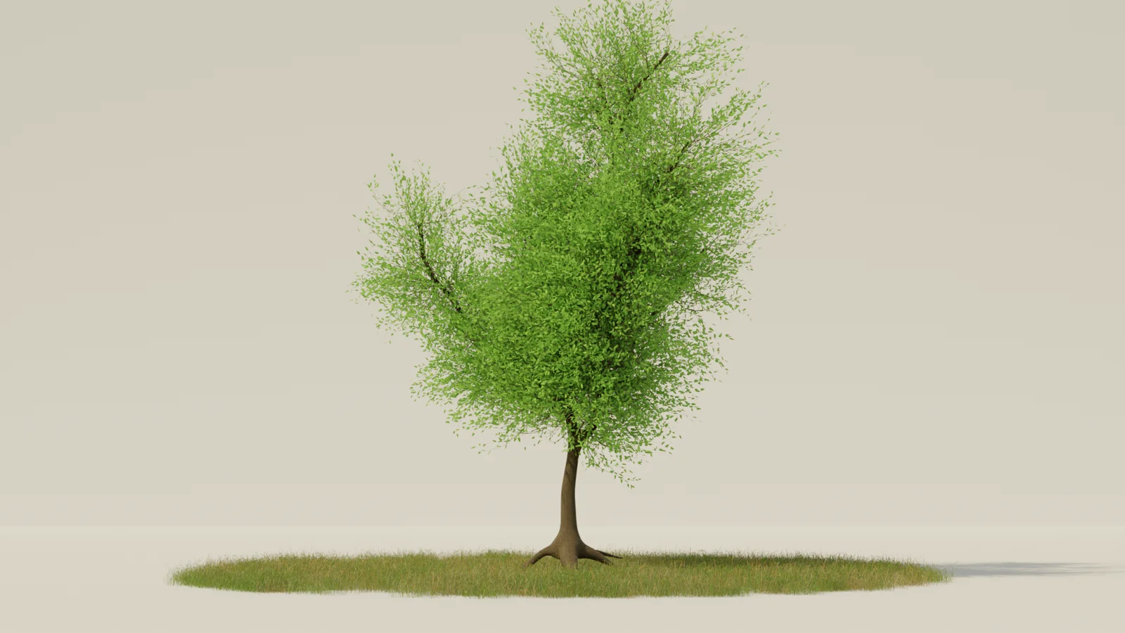 Realistic Tree Pack screenshot 4