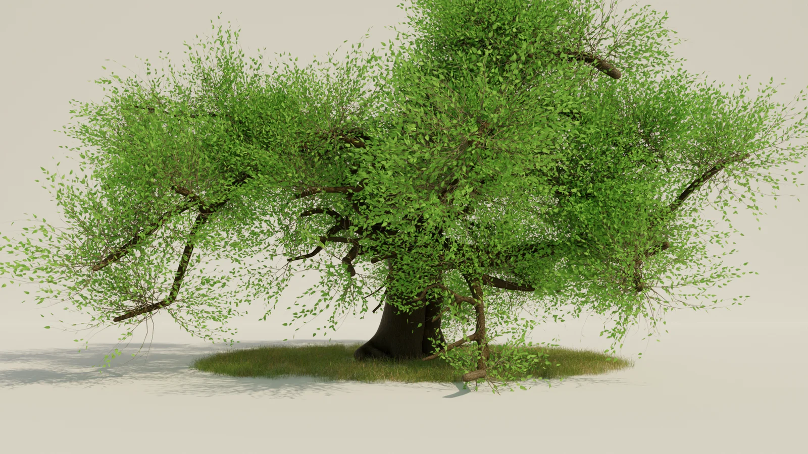 Realistic Tree Pack screenshot 5