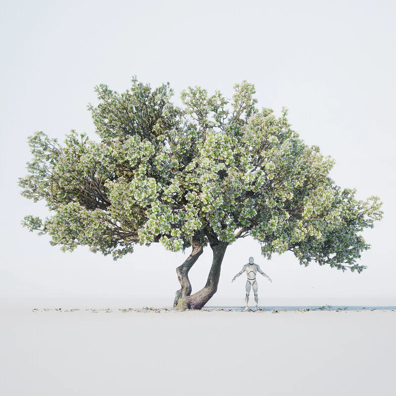 Realistic Tree Pack 2 screenshot 3