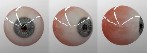 Realtime Eye - Blender 3d models