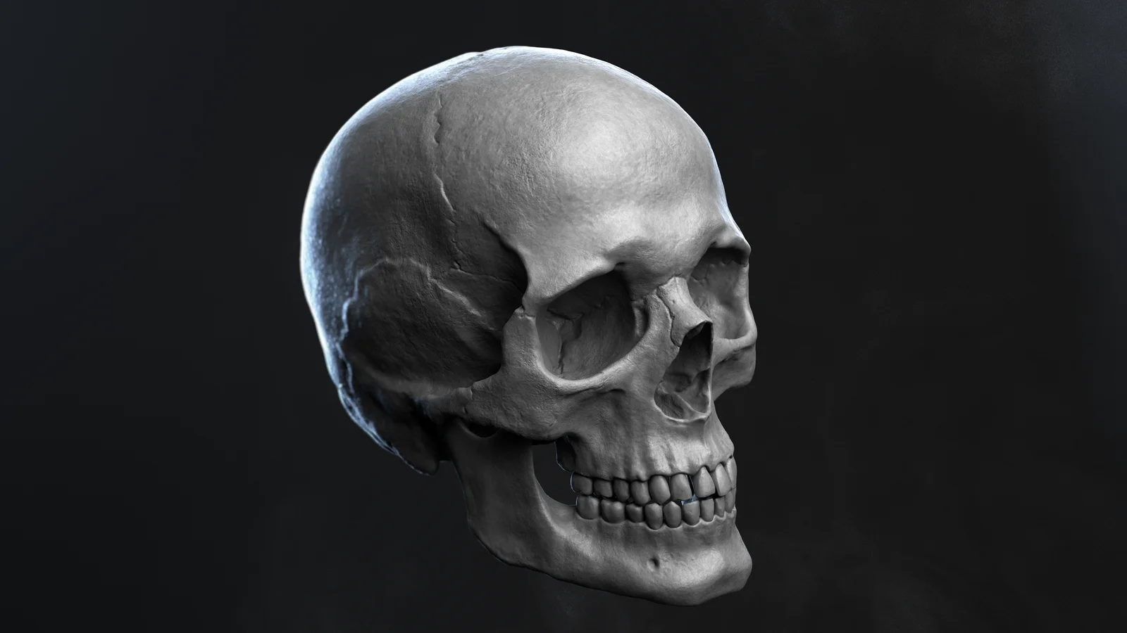 Skull Render Scene screenshot 2