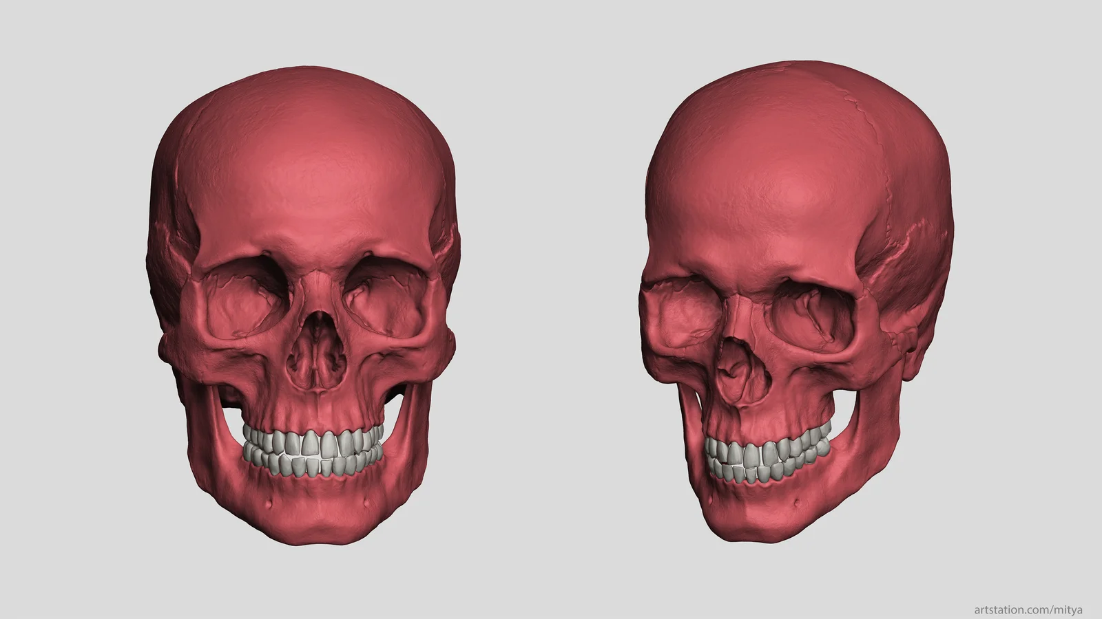 Skull Render Scene screenshot 6