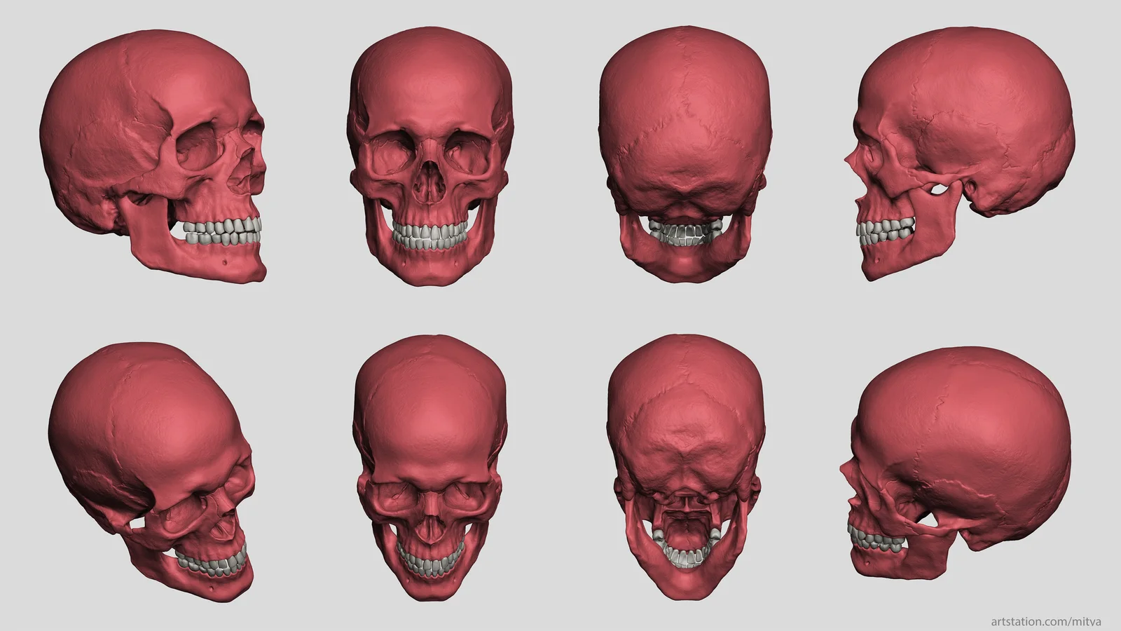 Skull Render Scene screenshot 7