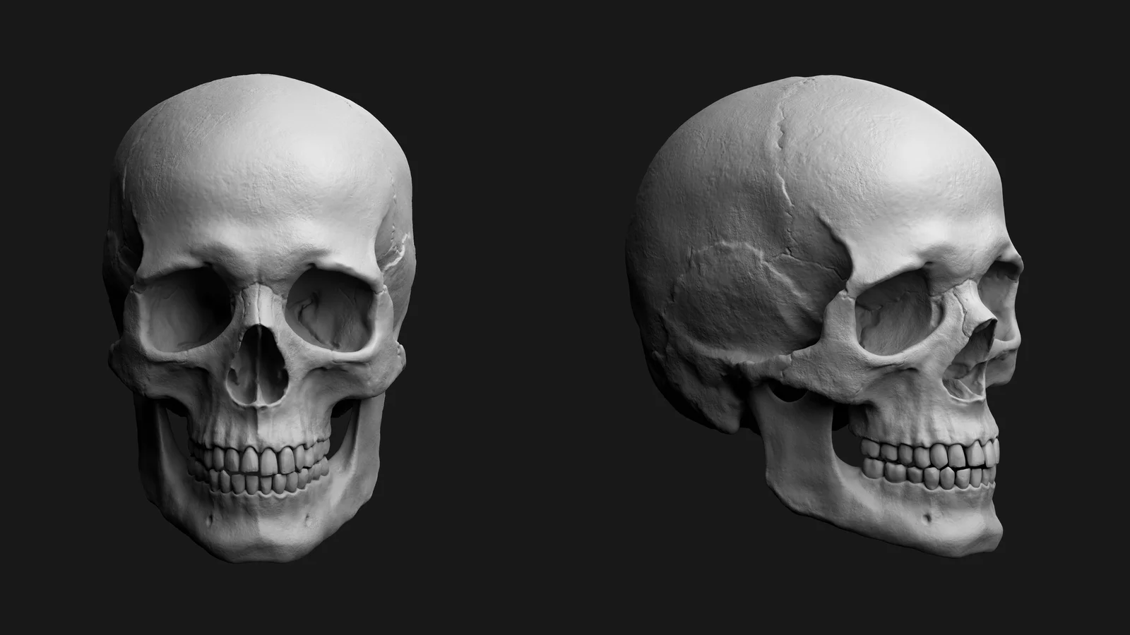 Skull Render Scene screenshot 8
