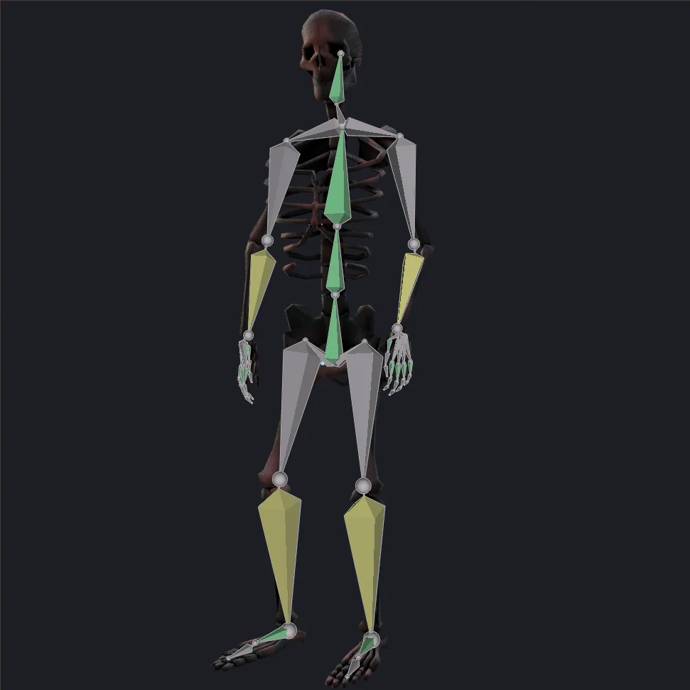 Rigged Human Skeleton screenshot 5