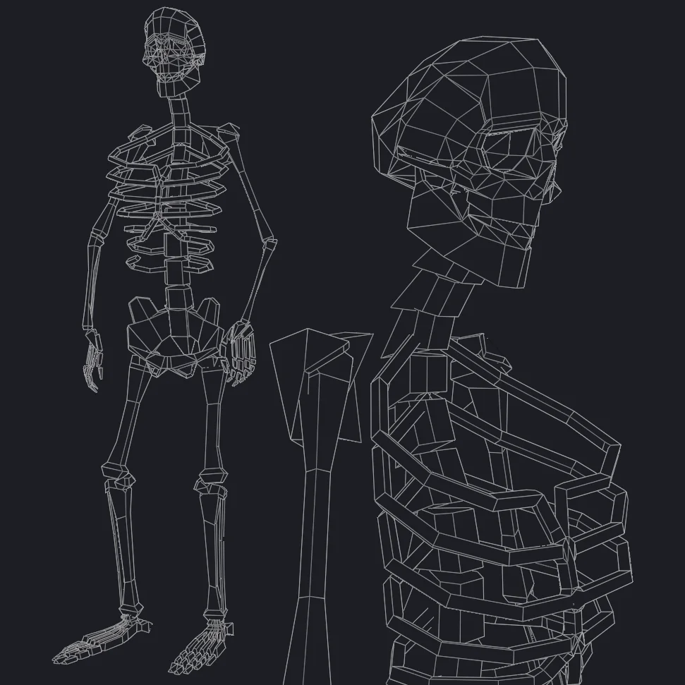 Rigged Human Skeleton screenshot 8