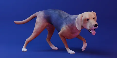 Rocko - Blender 3d models