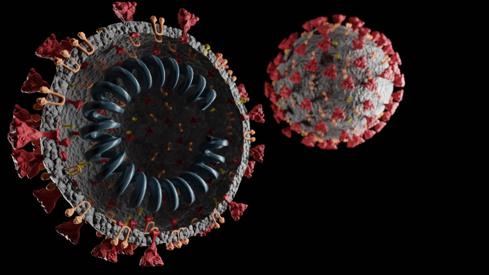 SARS-CoV-2 Virus screenshot 2
