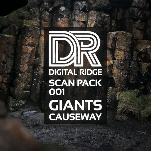 Giants Causeway Scan Pack - Blender 3d models