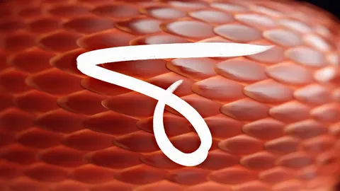 Sc'les - Blender shaders