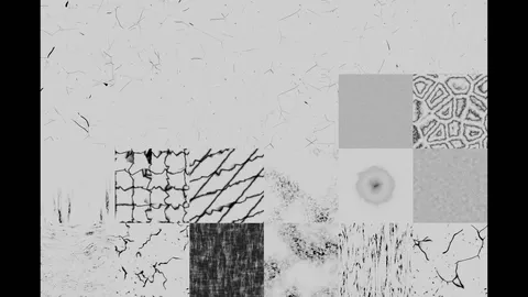 Sculpting and Texture Painting Brushes - Blender sculpting brushes