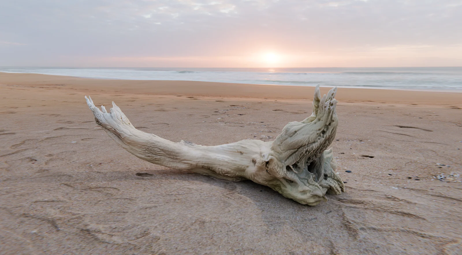 Sculpting Base screenshot 4