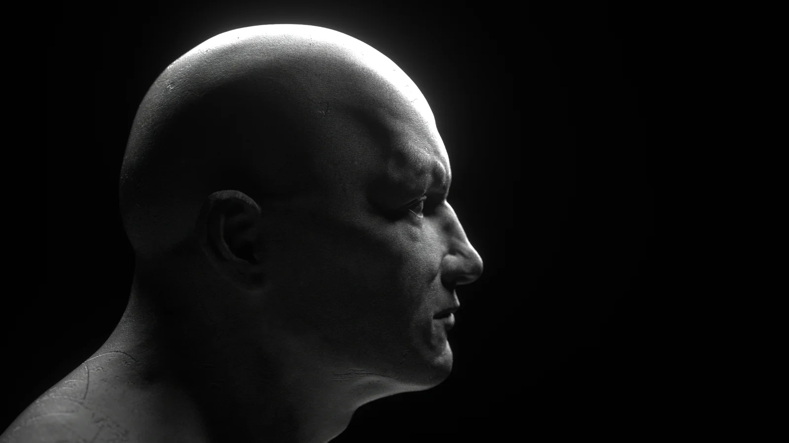 Scultura Anatomica con Blender screenshot 5