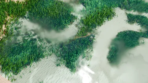 Seagrass Generator - Blender geometry nodes