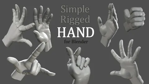 Simple Rigged Hand - Blender 3d models