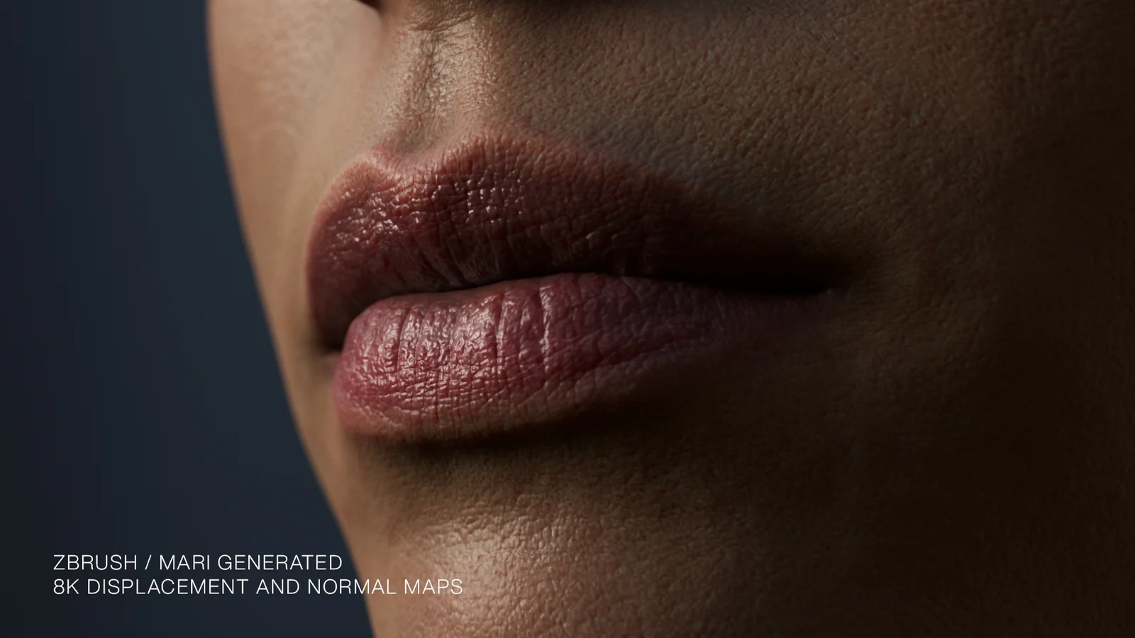 Genesis 9 Feminine Skin Textures screenshot 5