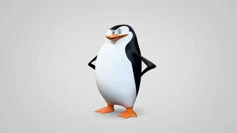 Skipper Rigged Character - Blender 3d models