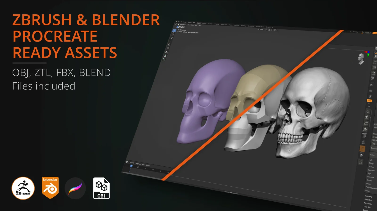Skull Model Study Pack screenshot 2