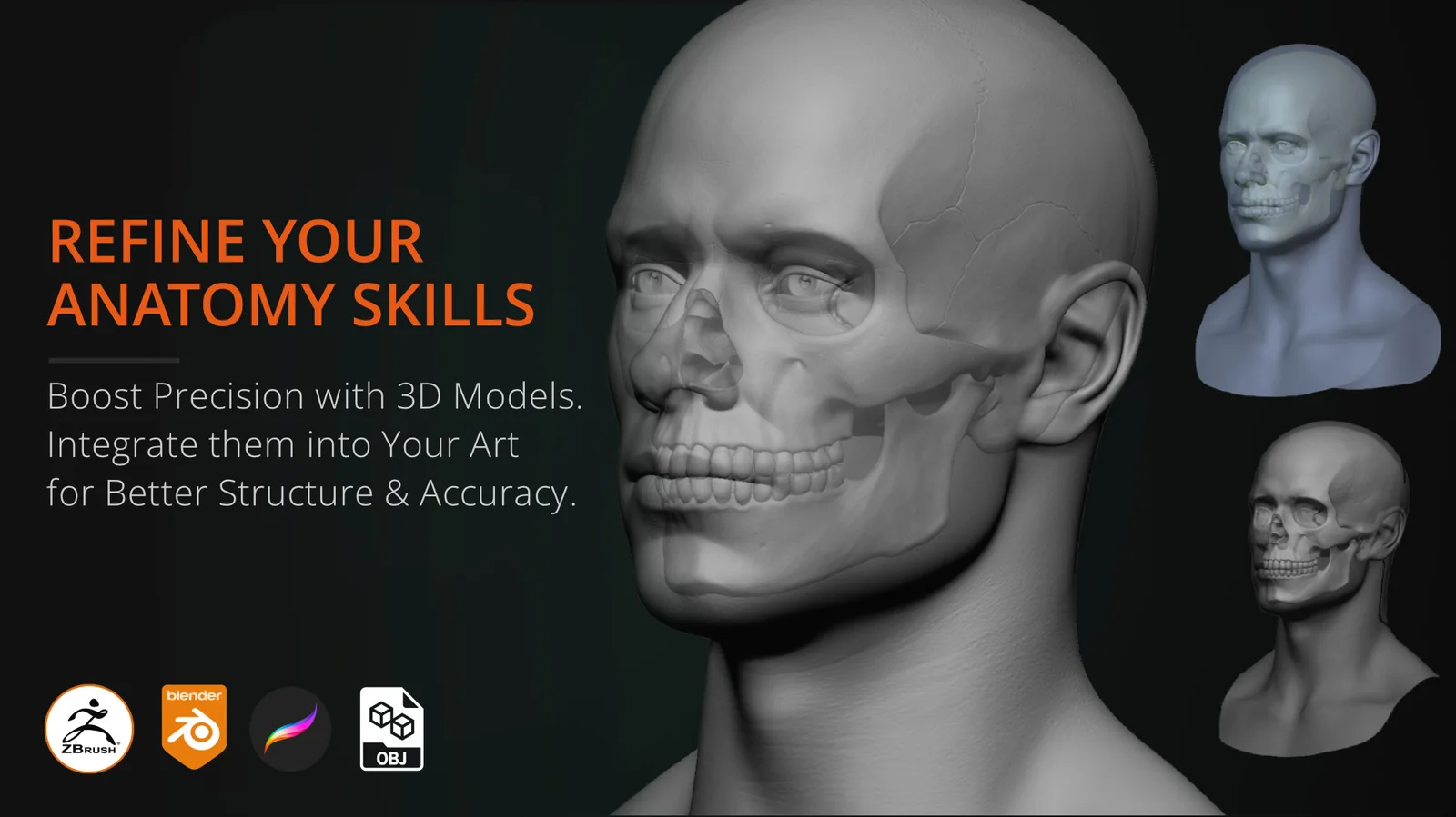 Skull Model Study Pack screenshot 4