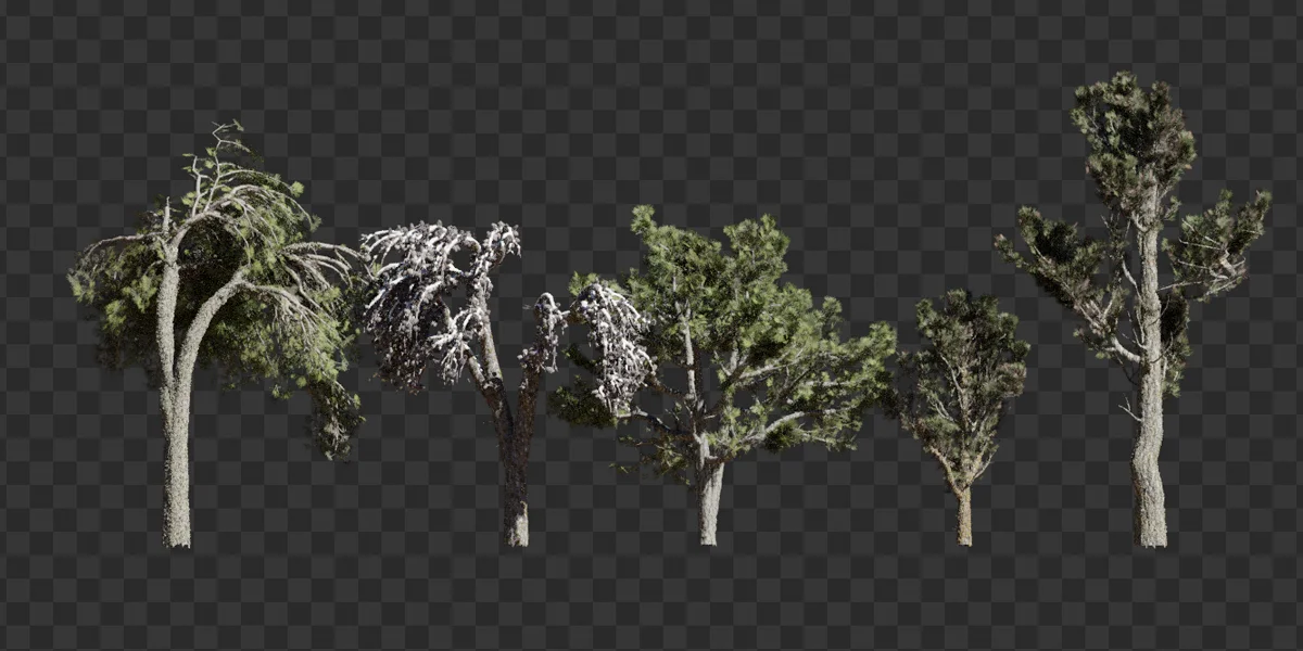 Smart Trees screenshot 6