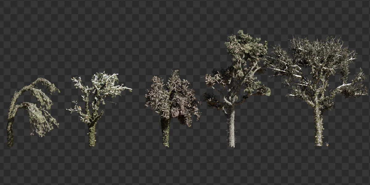 Smart Trees screenshot 7