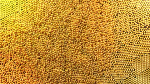 Smiles Simulation - Blender scenes